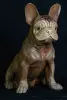 Product image 3 of the product “Seated French Bulldog made from suar wood, 50cm Height. ”